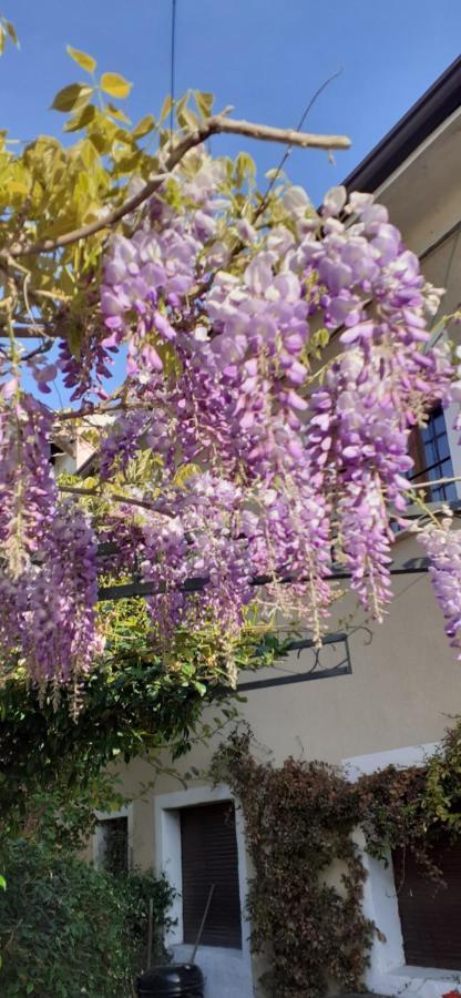 Residenza La Dimora Imperfetta Hotel Salionze Bagian luar foto