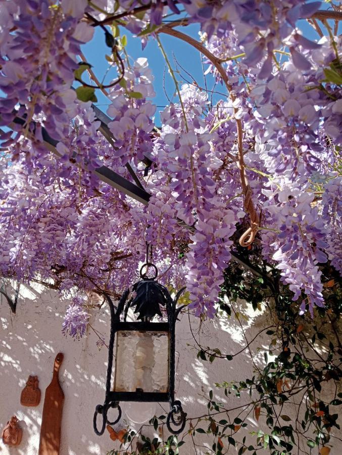 Residenza La Dimora Imperfetta Hotel Salionze Bagian luar foto